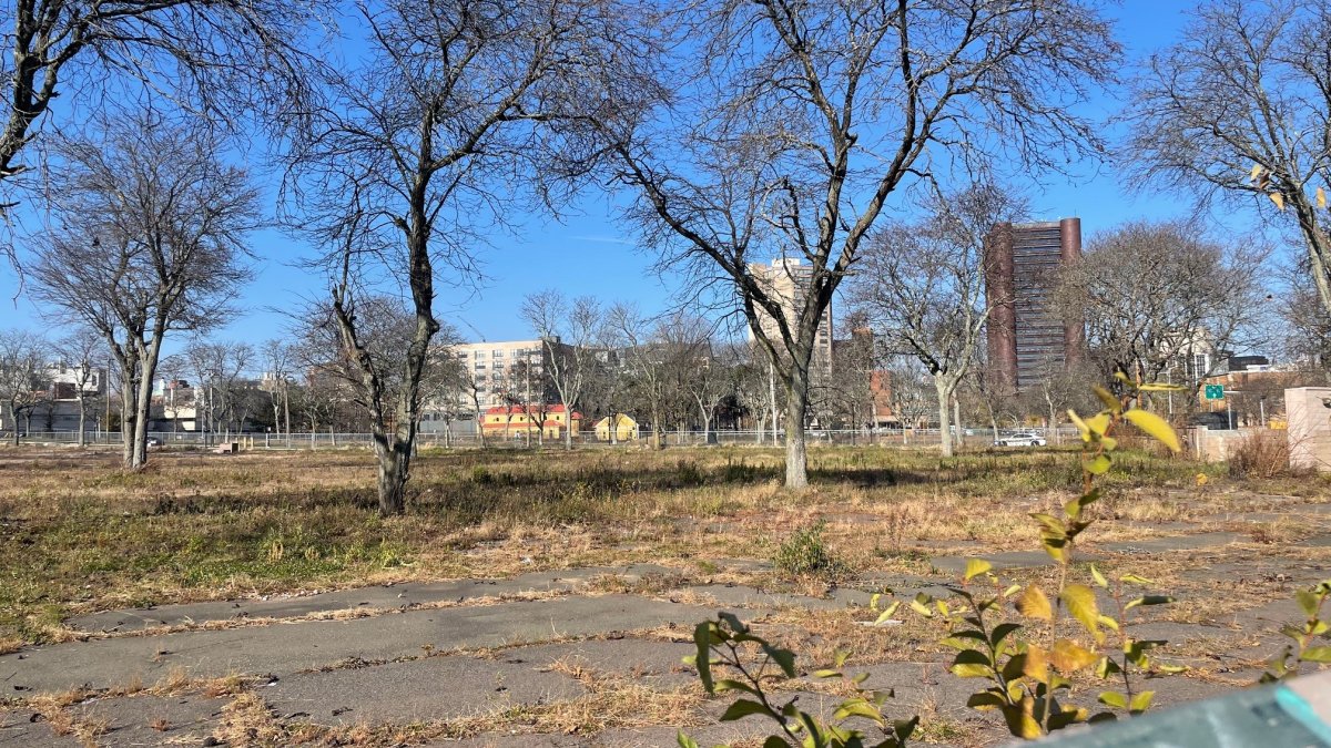 Planning begins for development of former Church Street South apartments in New Haven - Vimarsana News