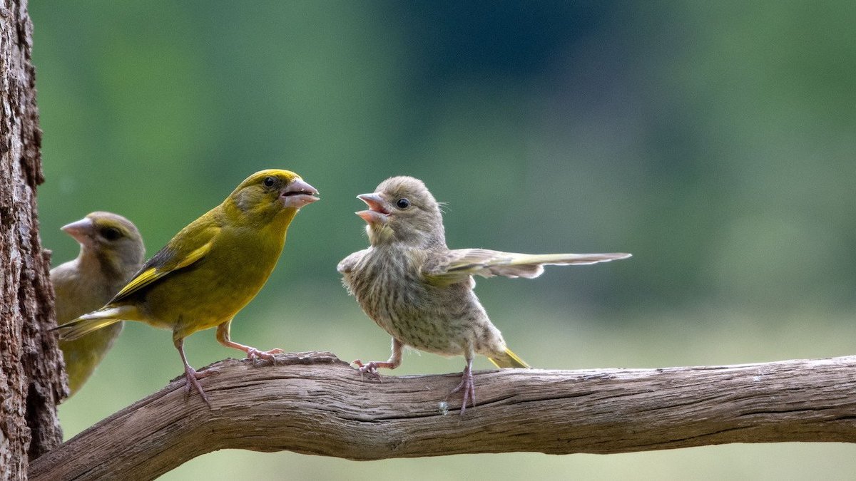 Comedy Wildlife Photography Awards 2023: See the funniest winners – NBC Connecticut - Vimarsana News
