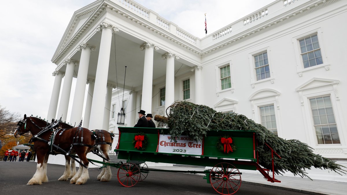 See the 2023 White House holiday decorations – NBC Connecticut - Vimarsana News