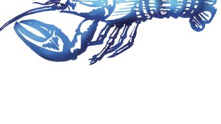 An illustration of half a blue lobster.