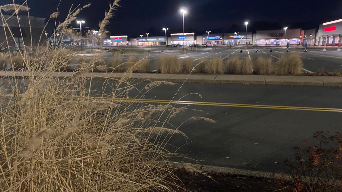 After quiet Thanksgiving at stores, busy Black Friday expected NBC Connecticut