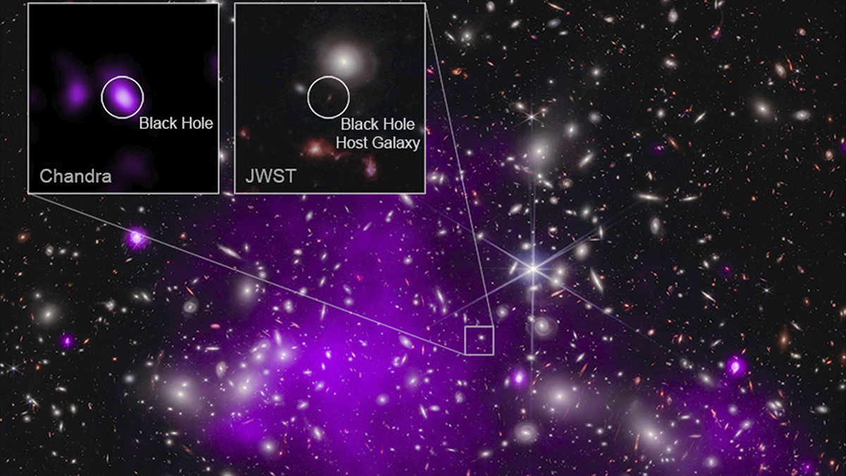 江口梨世美プロ　BLACK HOLE 2023 New black hole images reveal a glowing, fluffy ring and a