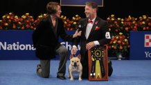 Pictured: (l-r) Mary Carillo; 2022 National Dog Show Best In Show Winner, French Bulldog named "Winston"; Perry Payson, Handler.