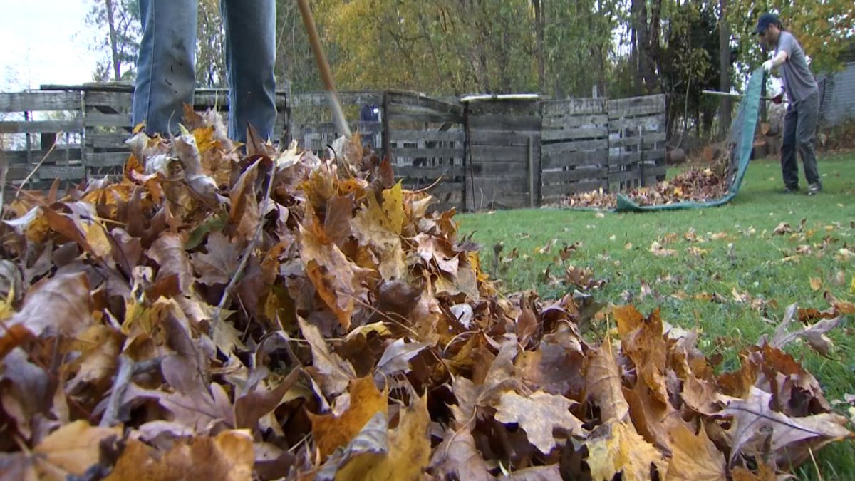 Two Wallingford veterans get free home repairs on Veteran’s Day – NBC Connecticut