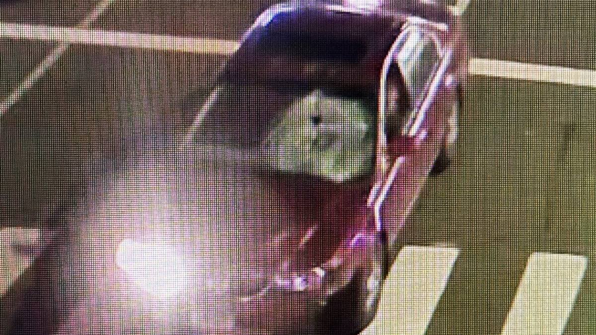 Police search for driver who hit and killed 74-year-old in Stamford - Vimarsana News