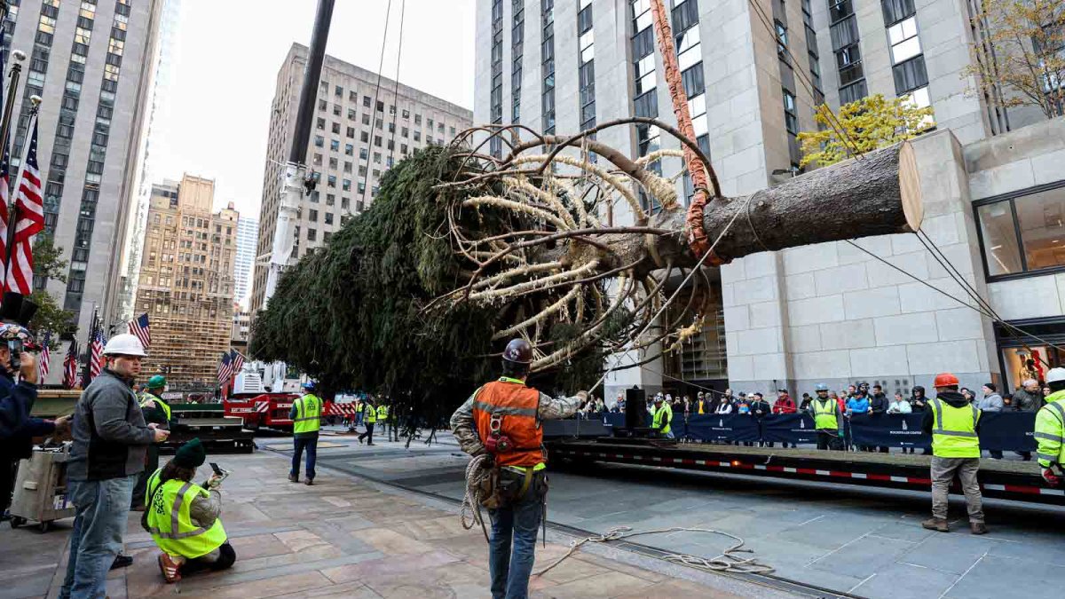 Rockefeller Center Christmas tree: What to know – NBC Connecticut - Vimarsana News