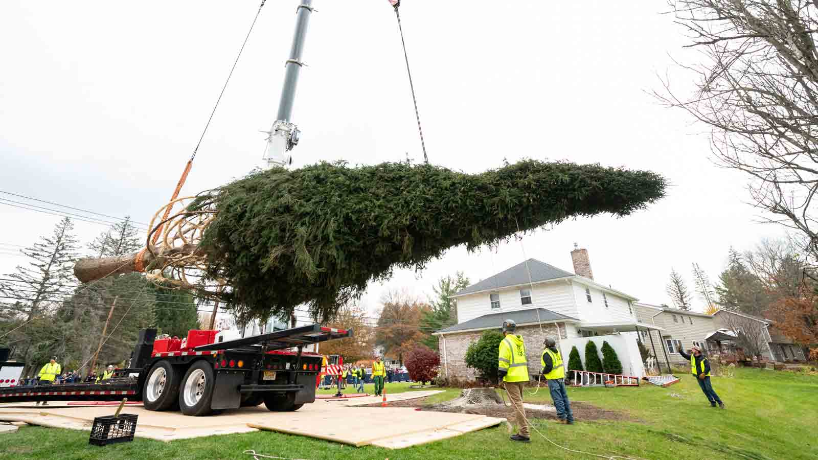 When Will The Rockefeller Tree Be Removed 2025 Toyota Codi Alethea