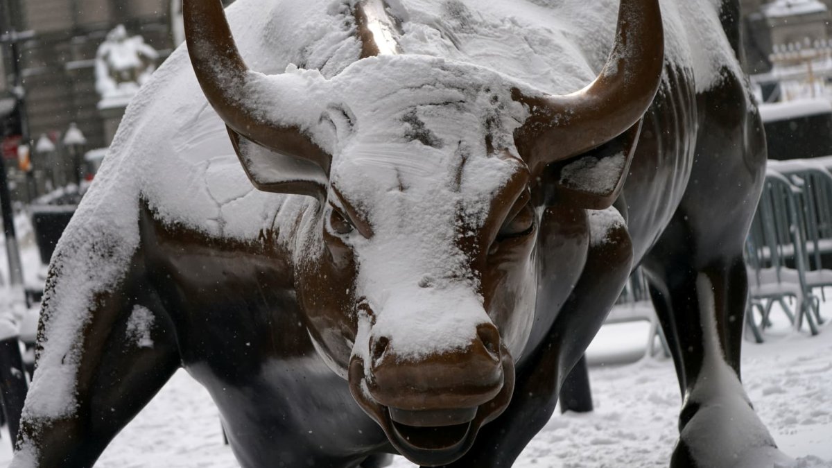 CNBC Daily Open: The bulls are back on Wall Street - Vimarsana News