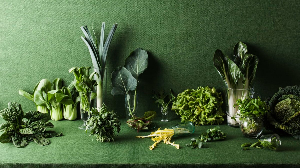 Add these gut-friendly foods to your holiday spread, says a dietitian and a gut health expert - Vimarsana News