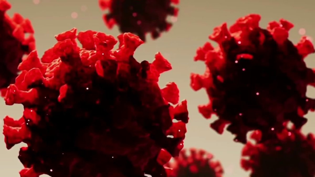 Understanding HIV and AIDS on this World AIDS Day NBC Connecticut