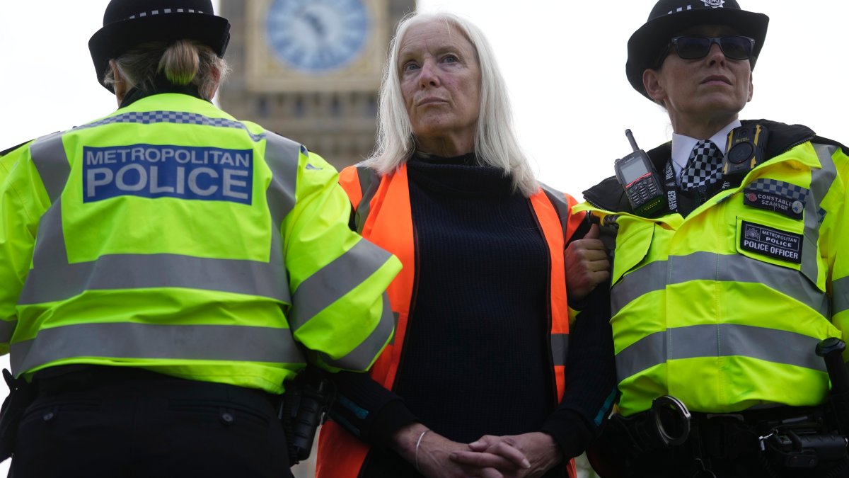 British law allows for the arrest of protesters in certain situations – NBC Connecticut - Vimarsana News