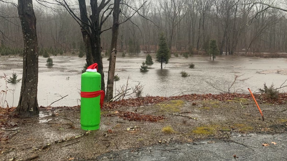 Town by town, see how much rain has fallen in Connecticut NBC Connecticut