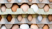 Jury orders egg suppliers to pay $17.7 million in damages for price gouging in 2000s