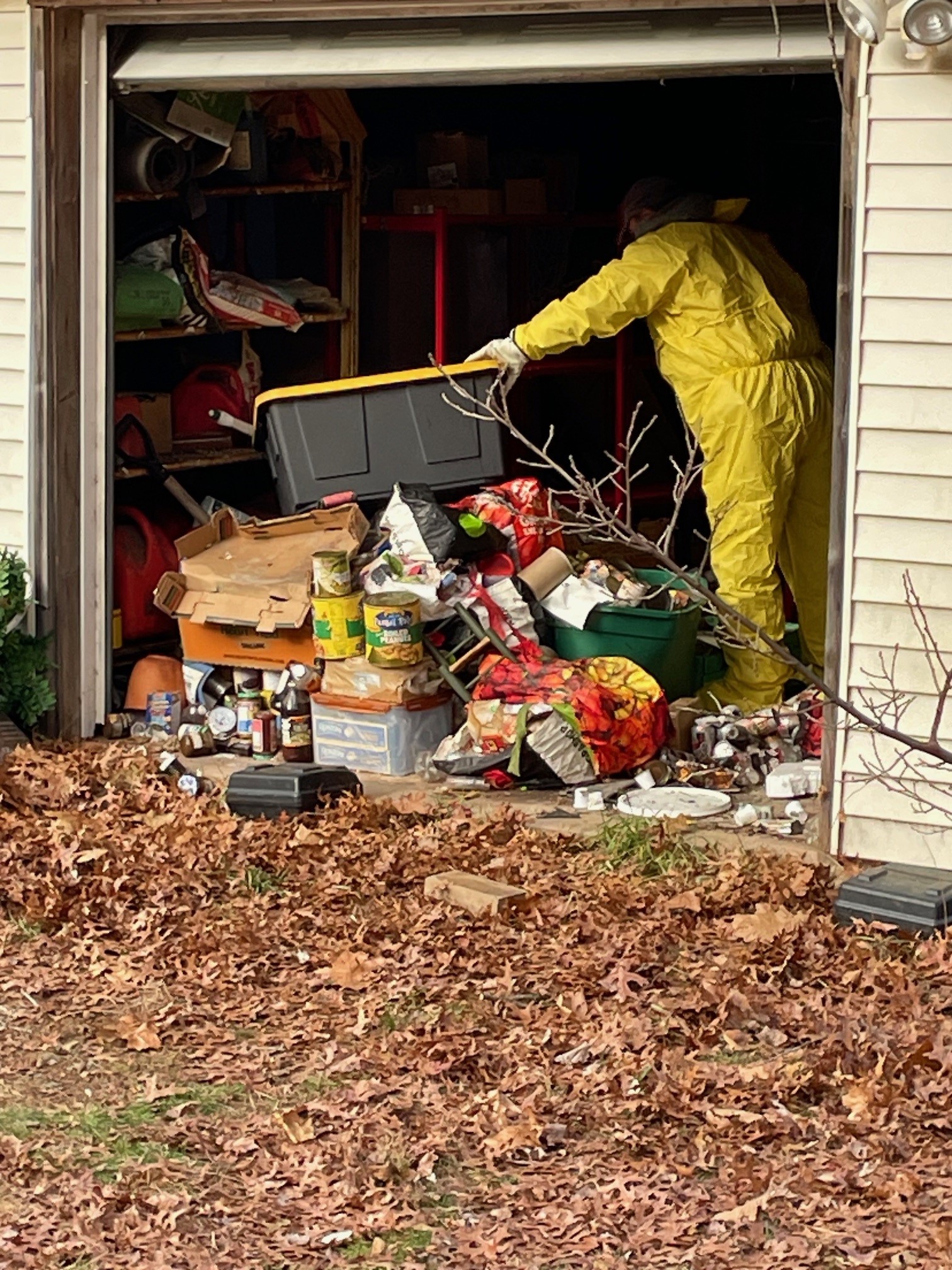 Following hoarding and rat concerns, Vernon steps in to clean up