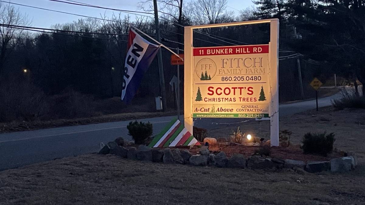 Andover Christmas tree farm managing wet weather concerns NBC Connecticut