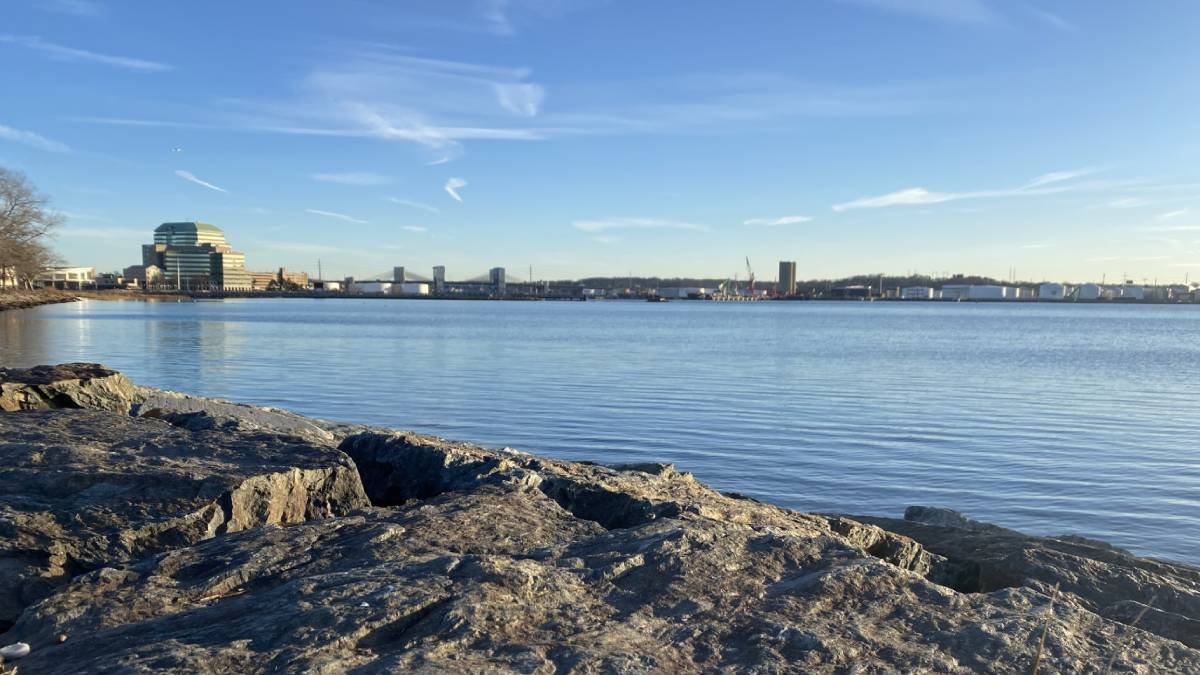Person missing in New Haven Harbor found safe off Stratford: Coast Guard - Vimarsana News