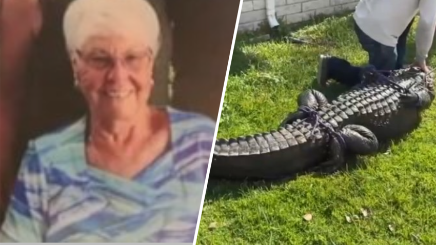 Gloria Serge was killed in a February 2023 alligator attack in Florida.