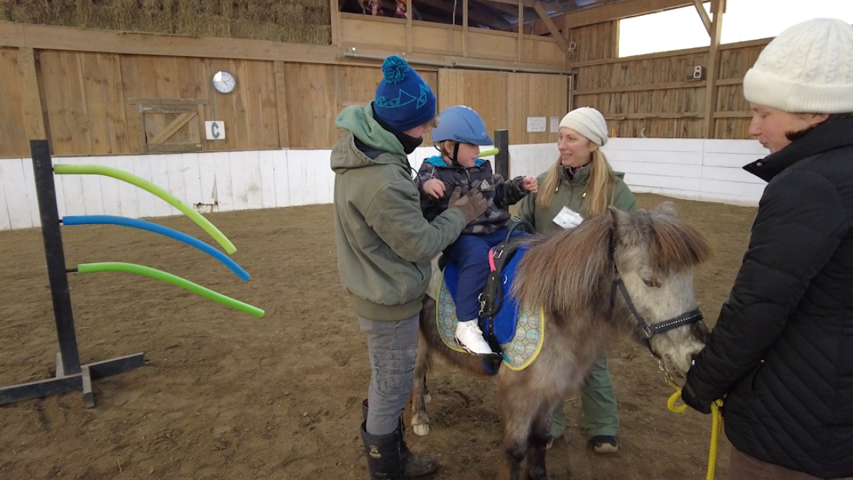 Equine therapy program for people with special needs is now open in North Franklin NBC Connecticut