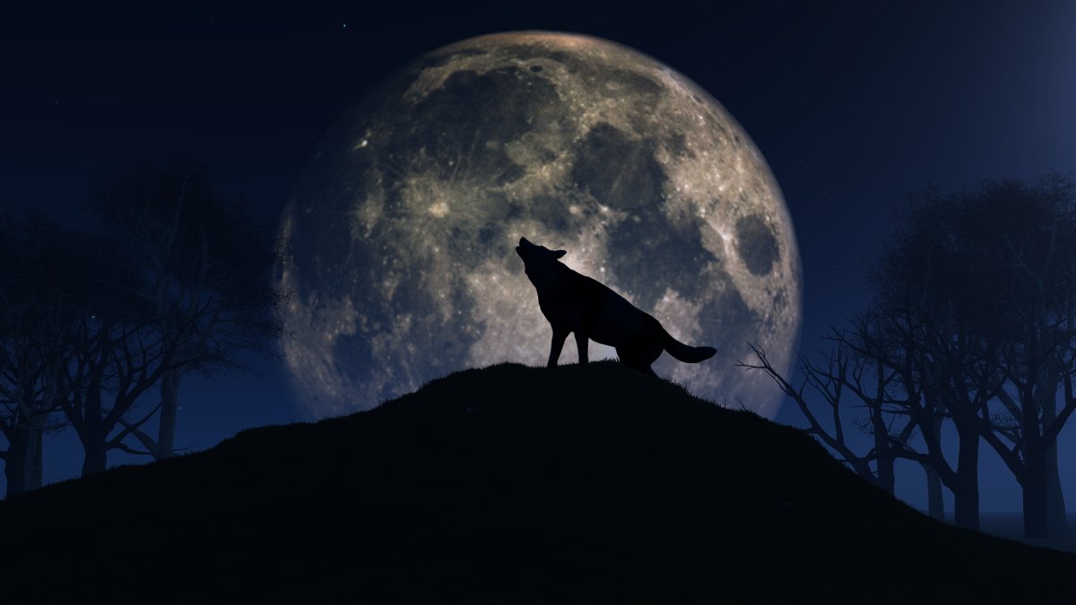 How to see the Full Wolf Moon on Thursday – NBC Connecticut - Vimarsana News