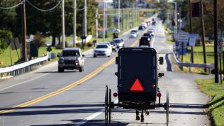 An Amish buggy travel on a local road with traffic beside.