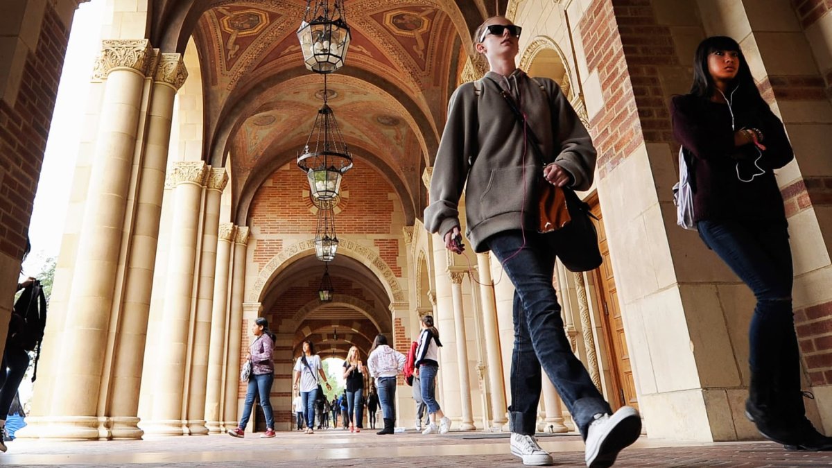 Transferring from community college to a four-year school isn't often successful — it's 'terribly unfortunate,' expert says – NBC Connecticut - Vimarsana News