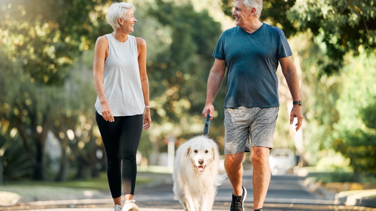 401(k) millionaire ranks grew 11.5% in 2023. They are 'poster children for staying the course,' expert says – NBC Connecticut - Vimarsana News