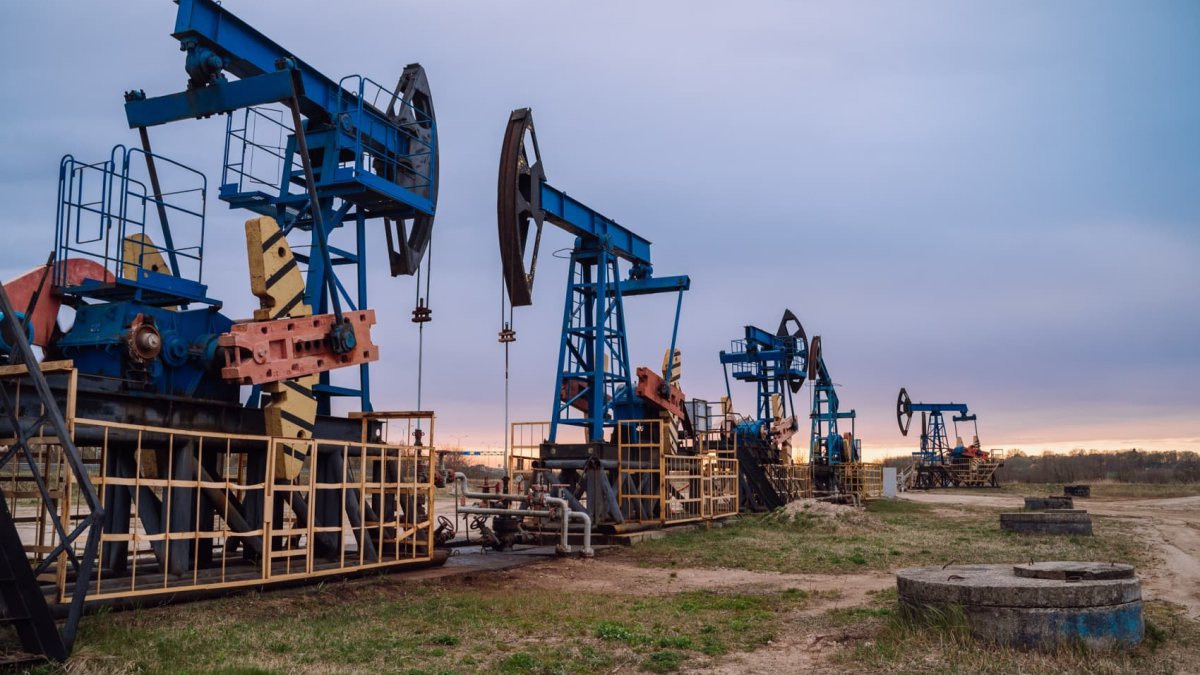 Oil stocks share a bullish similarity with semis, but 'no one cares,' VanEck CEO says – NBC Connecticut - Vimarsana News