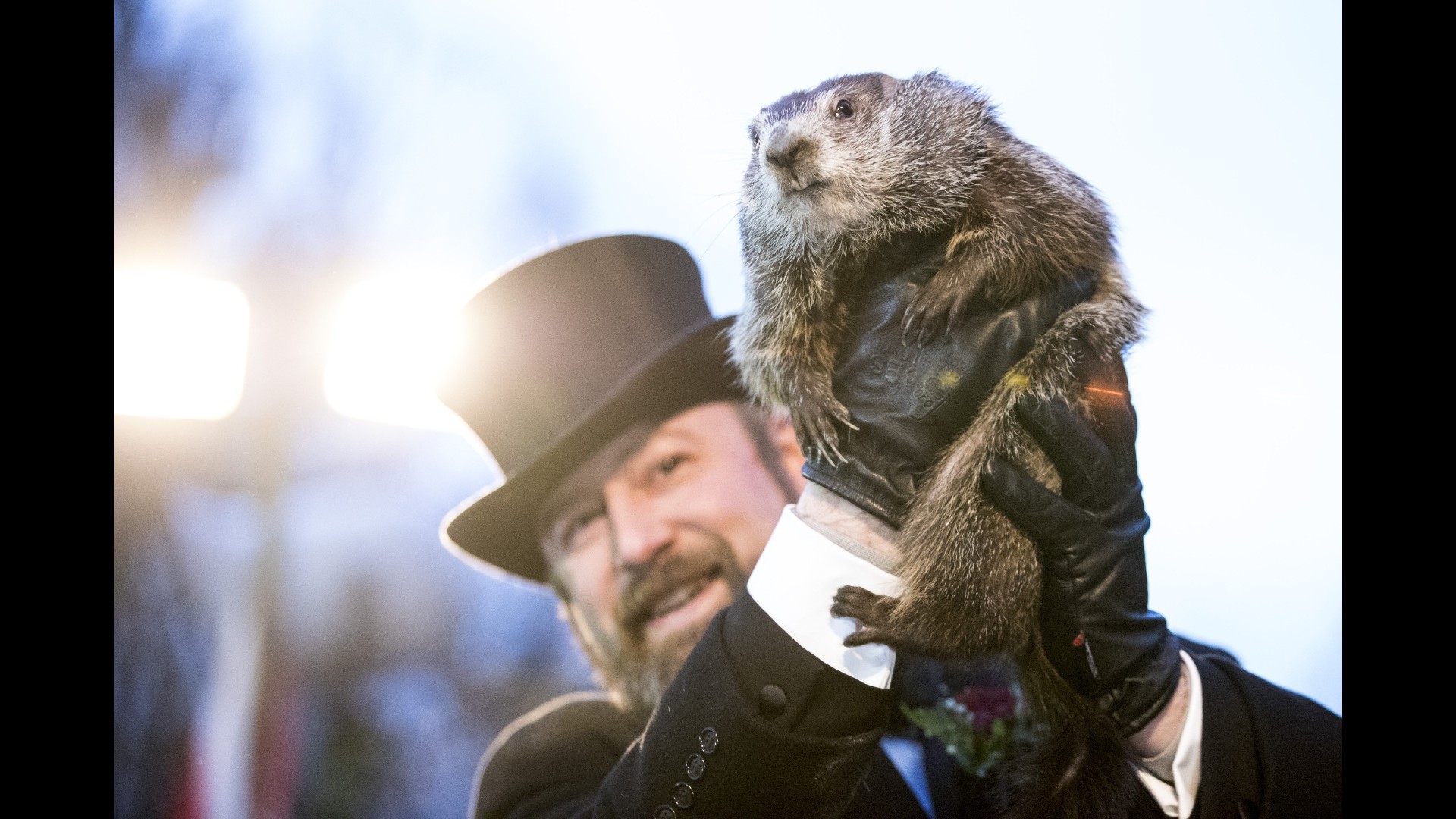 Groundhog Day predictions less accurate amid climate change NBC
