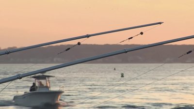 Fair fishing? Polygraph testing used in local bluefish tournament