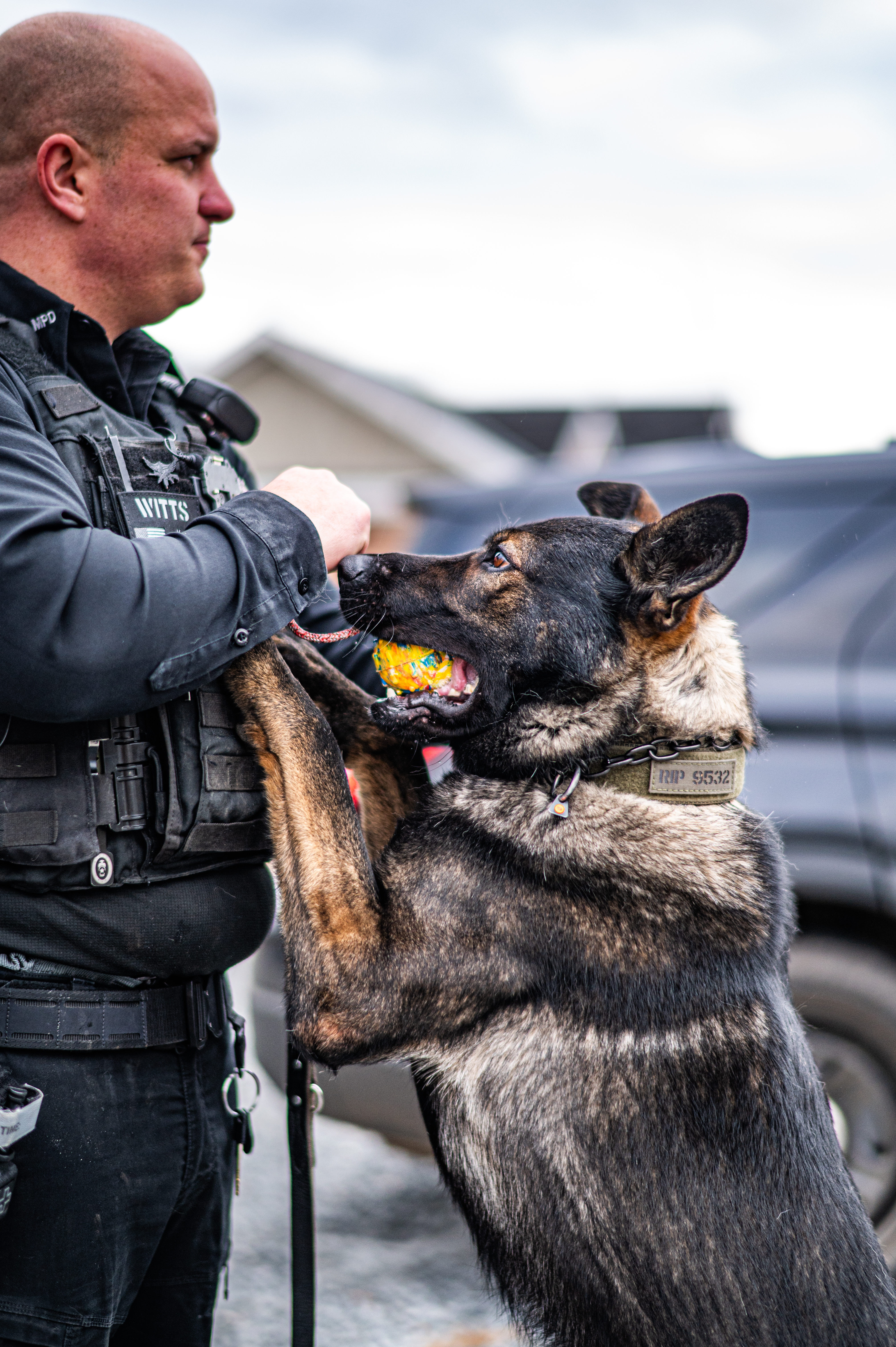 Photos: Photographer works to support retired police dogs