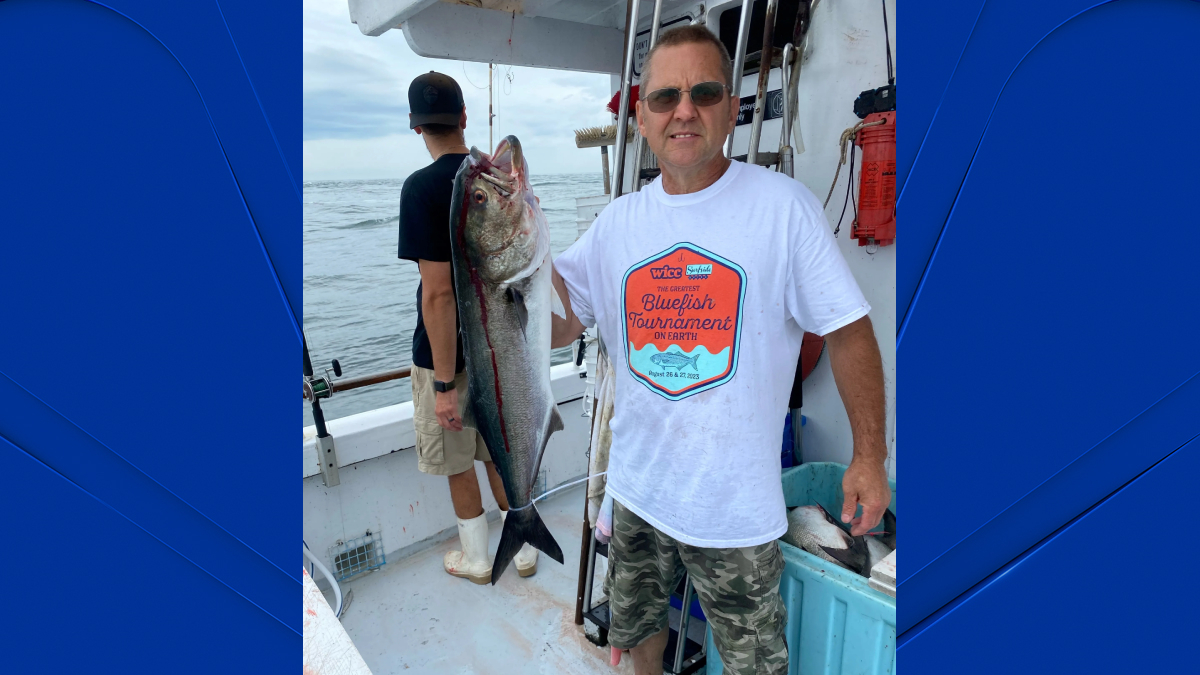 Fair fishing? Polygraph testing used in local bluefish tournament – NBC ...