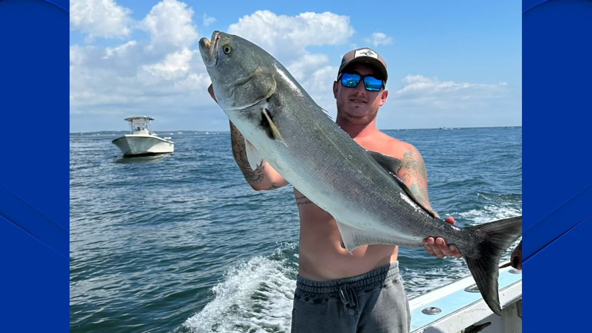 Fair fishing? Polygraph testing used in local bluefish tournament – NBC ...