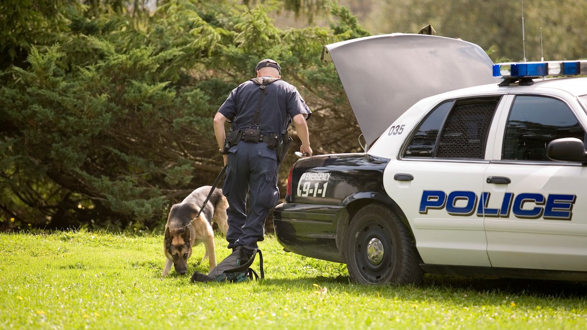 Kansas to increase penalties for harming police dogs – NBC Connecticut - Vimarsana News