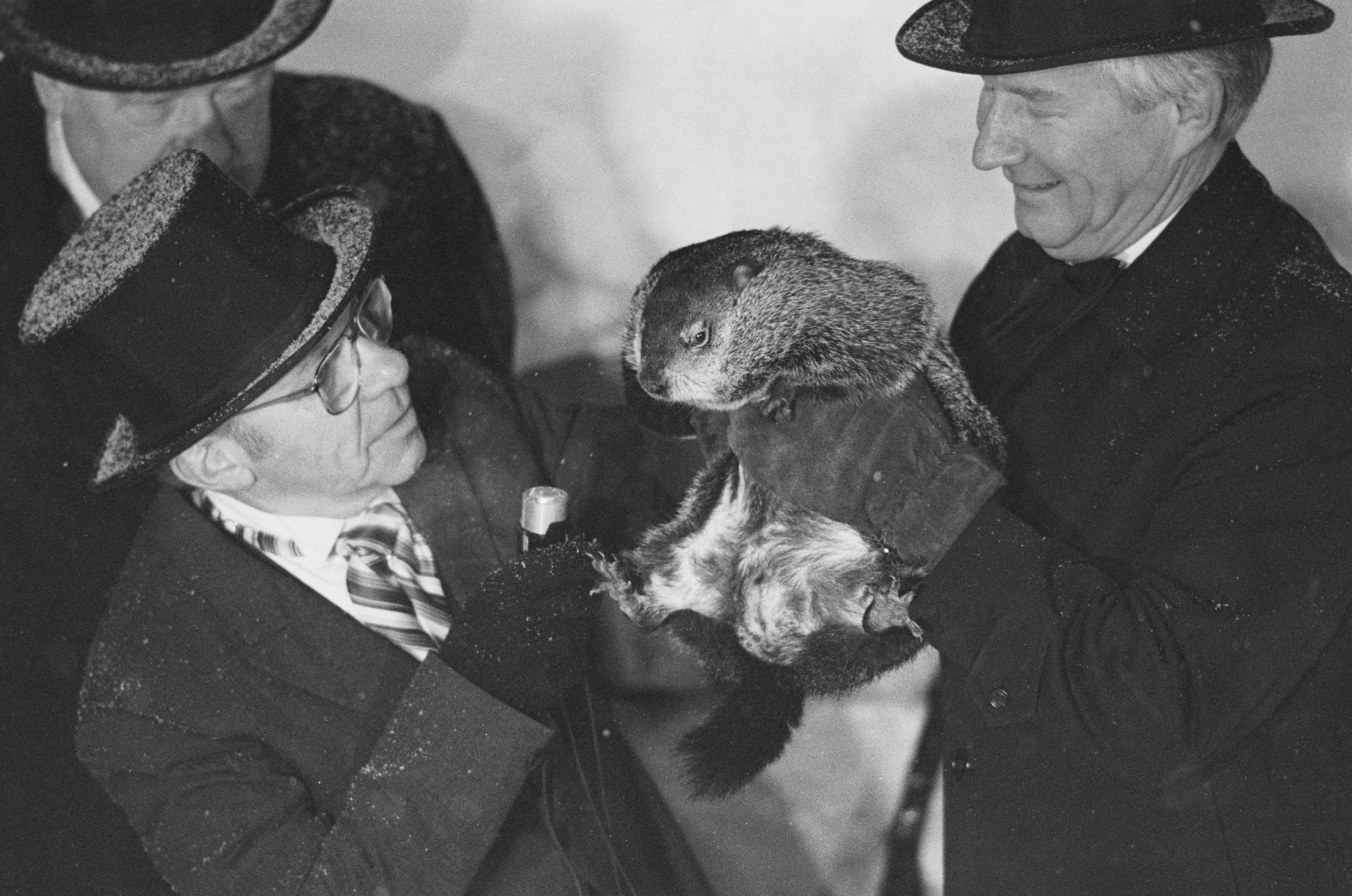 Groundhog Day Inspectors with Groundhog