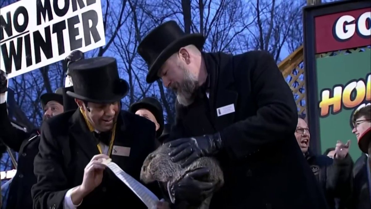 Groundhog Day 2024 forecast: Did Punxsutawney Phil see his shadow? – NBC Connecticut - Vimarsana News