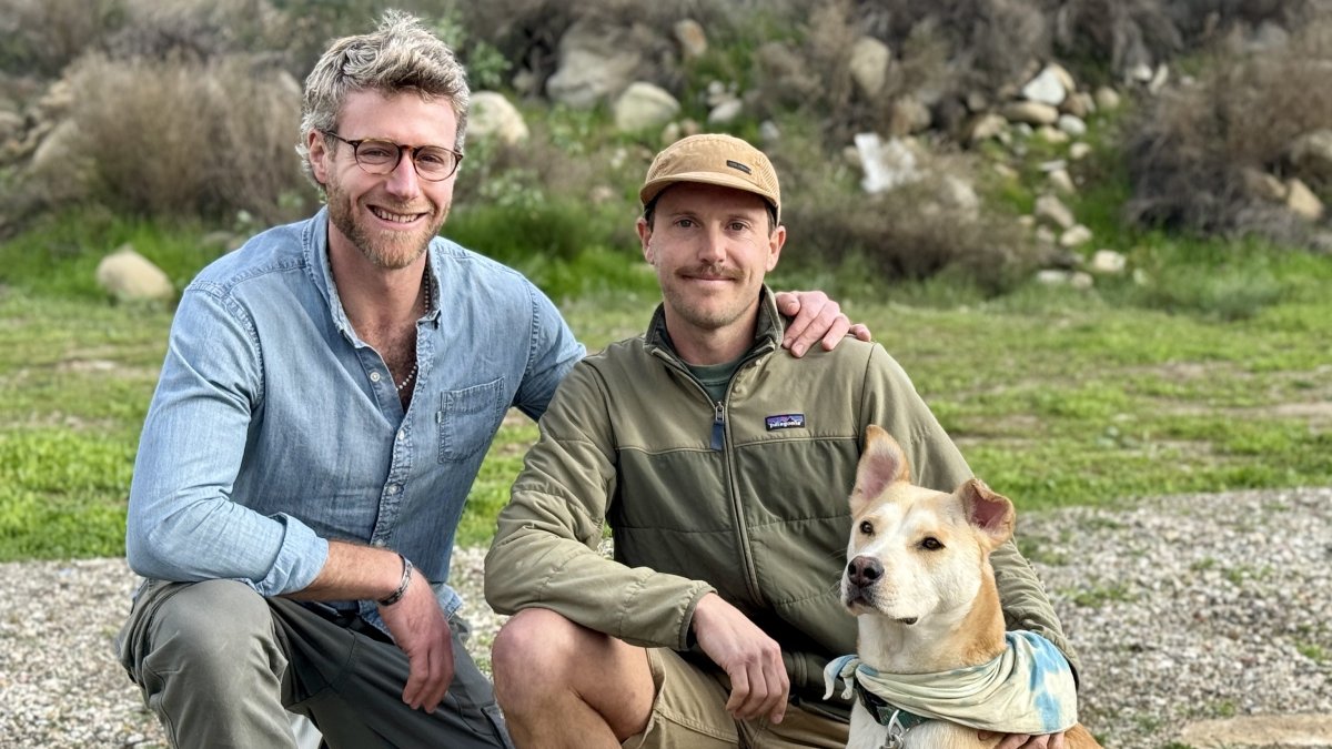 Runners save their dog from a mountain lion attack in So Cal – NBC Connecticut - Vimarsana News