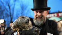 Prognosticating groundhog Punxsutawney Phil is now the father of 2 babies