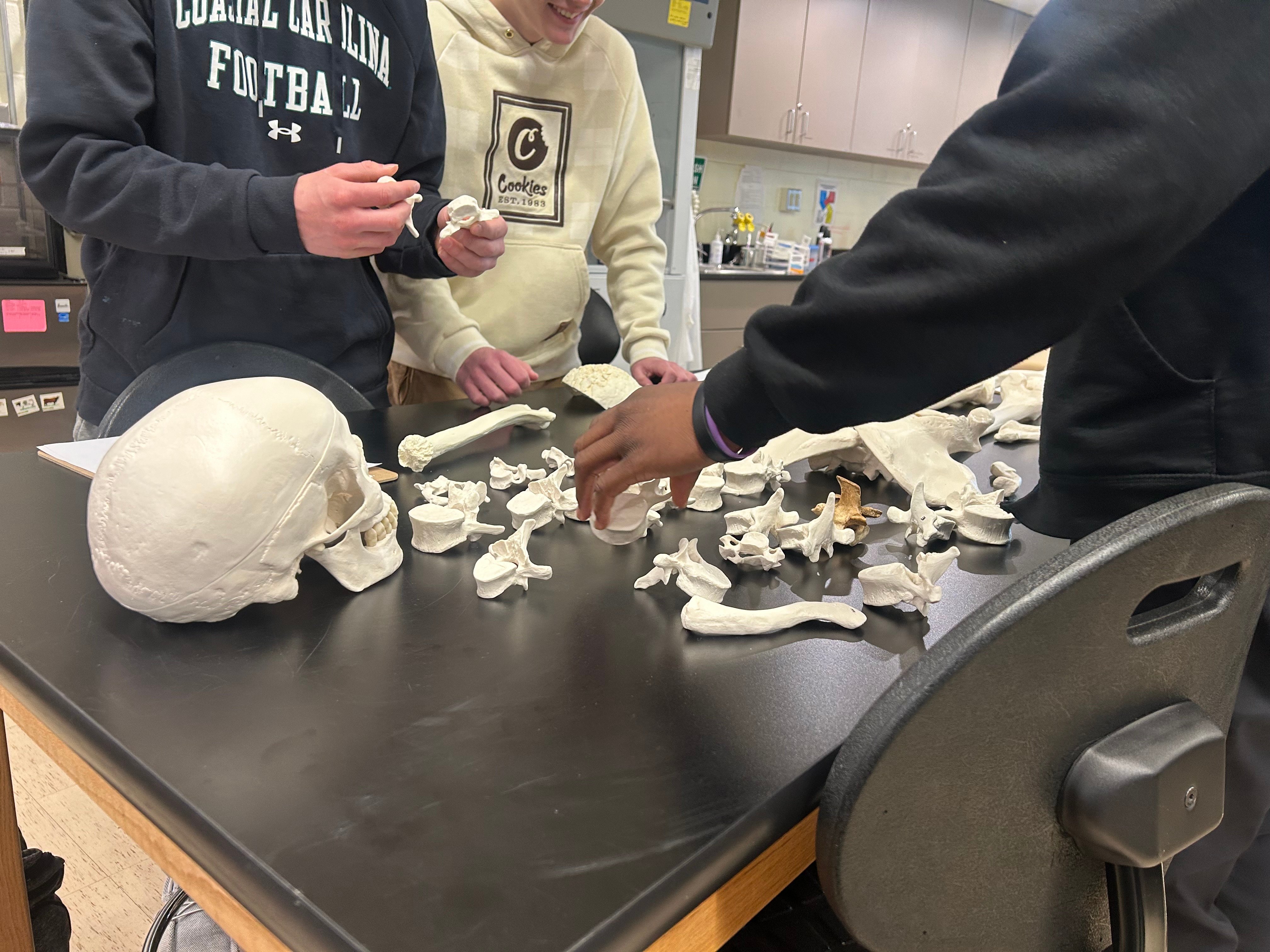 Hamden High School students learn about forensic science in a fun and engaging way - Vimarsana News