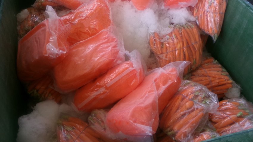 CBP finds millions in meth inside carrots shipment at US-Mexico border