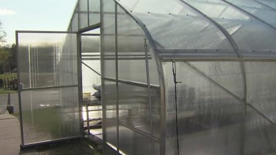 Greenhouse built at Lincoln Elementary School in New Britain