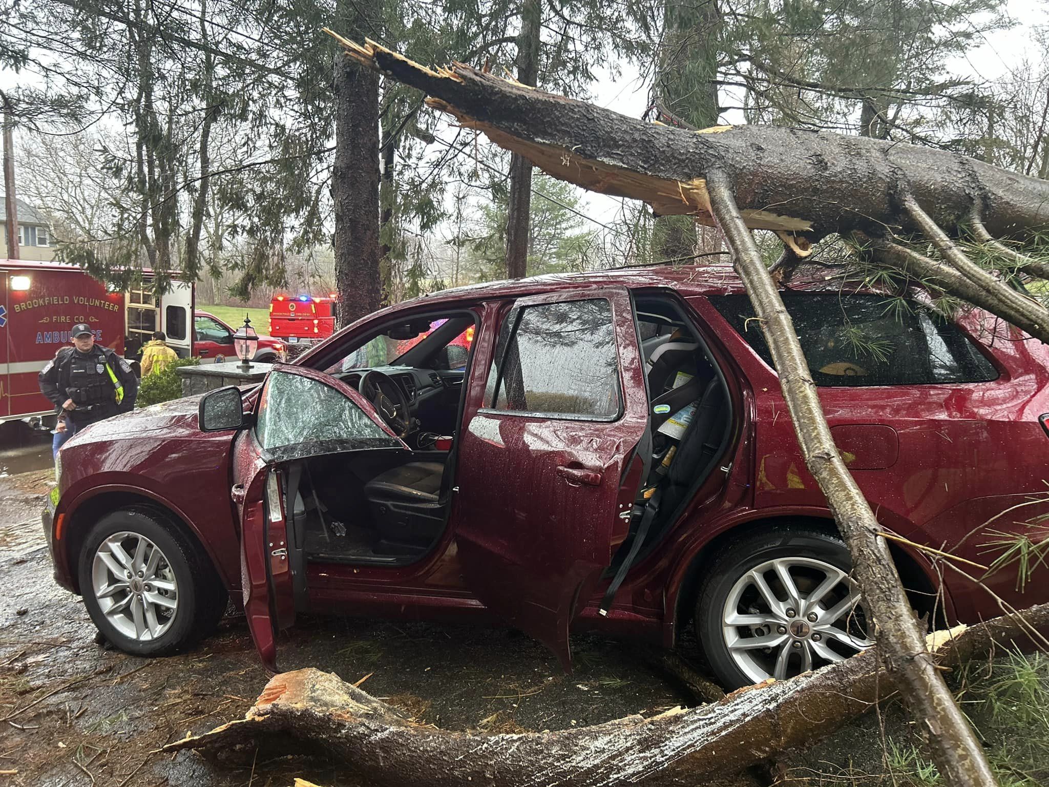 Mother And Her 3 Kids Narrowly Escape Injury After Tree Falls On Car In ...