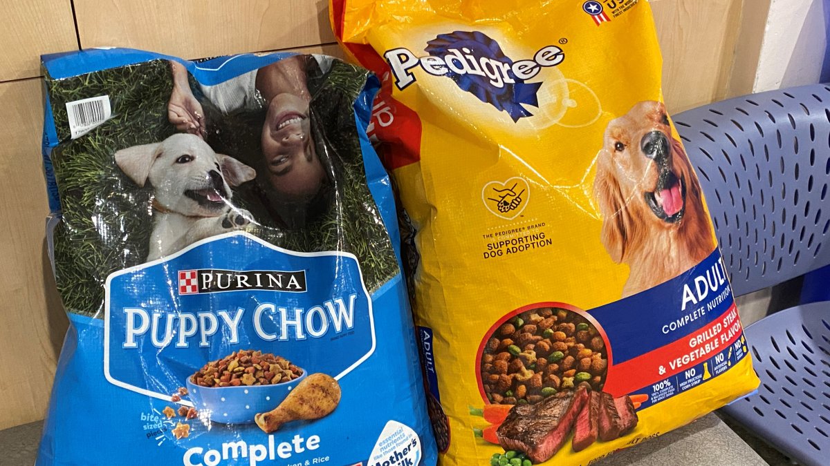 Connecticut Humane Society has an urgent need for dog food donations
