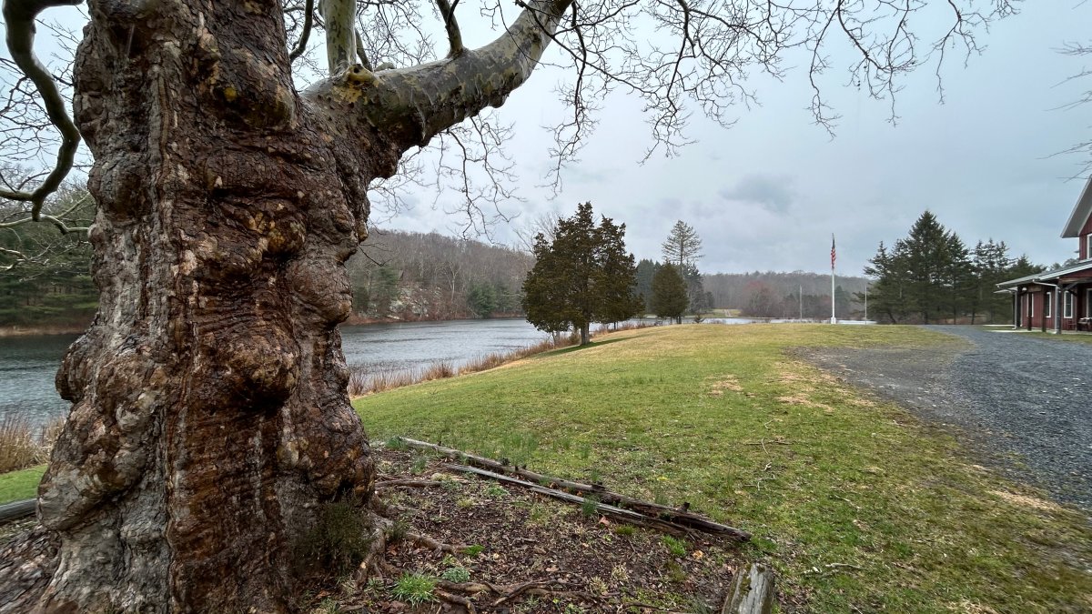 Killingworth’s Deer Lake is debt free as leaders look toward its future NBC Connecticut