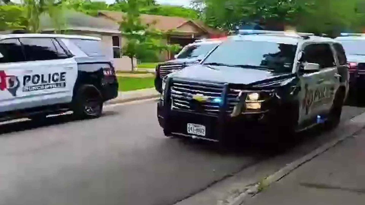 Toddler mauled to death by 3 dogs in Texas – NBC Connecticut