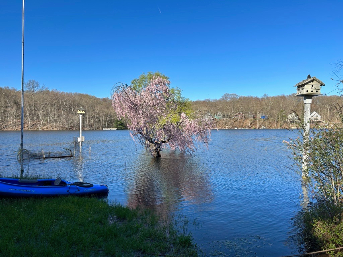USDA and Sen. Blumenthal to visit Jobs Pond in Portland as water
