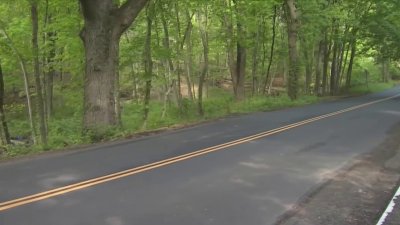 Improvements made in New Haven's West Rock neighborhood for pedestrian safety