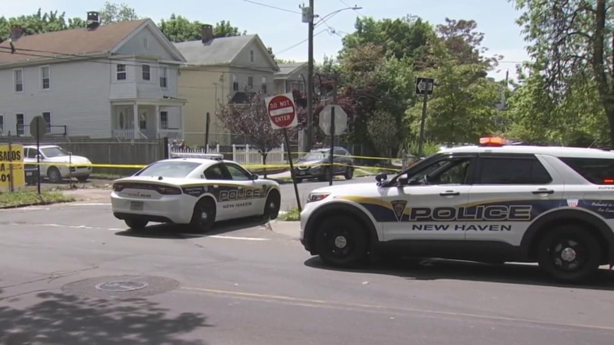 Police investigating homicide in New Haven – NBC Connecticut