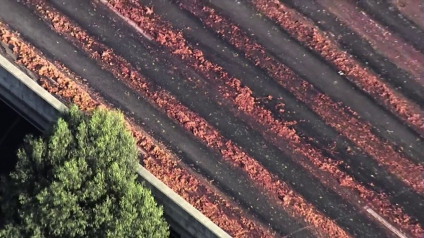 Chicken, beef parts spill on I-880 in Oakland