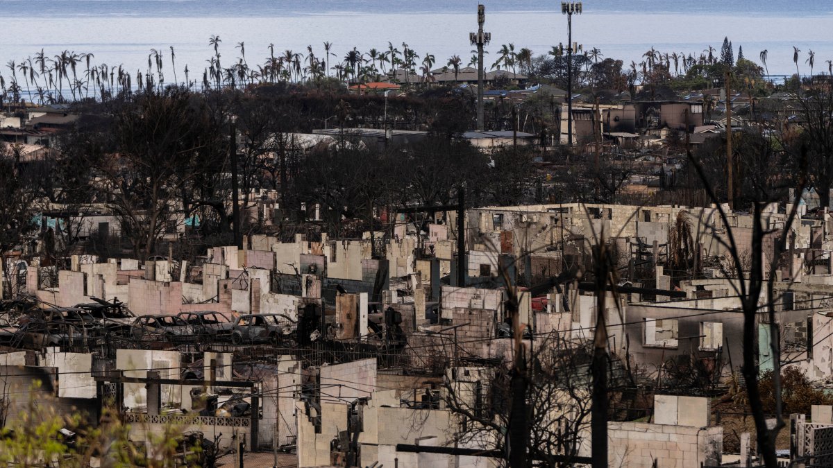 Maui sues cell carriers over wildfire warnings never received – NBC Connecticut - Vimarsana News