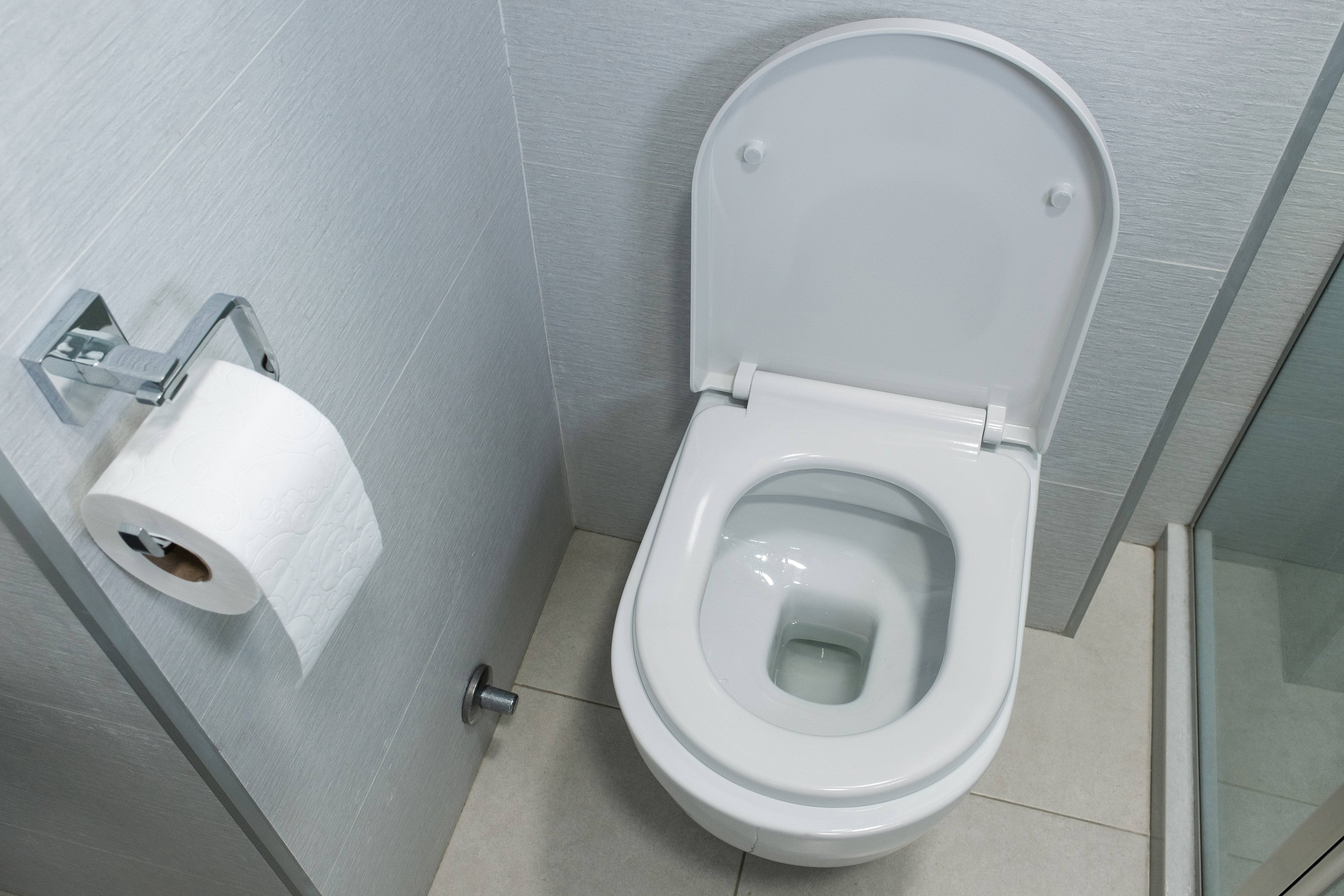 Have you had a 'ghost poop'? Doctors explain the surprisingly common phenomenon – NBC Connecticut - Vimarsana News